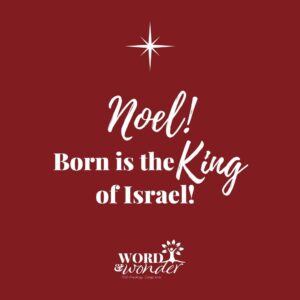 a star stands above a quote from the hymn The First Noel. The quote reads "Noel! Born is the King of Israel!