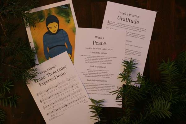 Photo of the four card pages for week 2 of the advent card worship guide. One page has an illustration of pregnant Mary looking down at her belly. Second page is titled Week 2: Peace, and has sections Look in the Word, Look at the Picture, Look in Your Heart, and Prayer. Third card has the hymn "Come Thou Long Expected Jesus." Four card contains Week 2 Spiritual Practice: Gratitude.